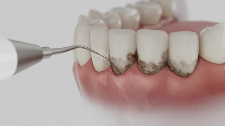Reliable Dental contractor in Concord, CA by Dentist Open Now